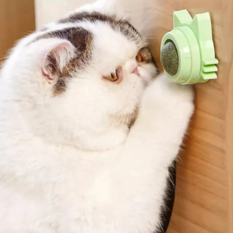 1PCS Catnip Lollipop Cat Treat Wall Design Dental Care Fresh Breath Cat Snacks Energy Ball Stomach Protection Pet Supplies