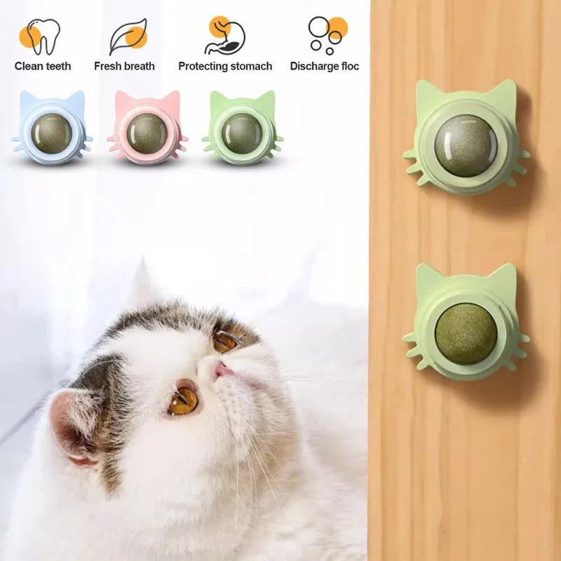 1PCS Catnip Lollipop Cat Treat Wall Design Dental Care Fresh Breath Cat Snacks Energy Ball Stomach Protection Pet Supplies