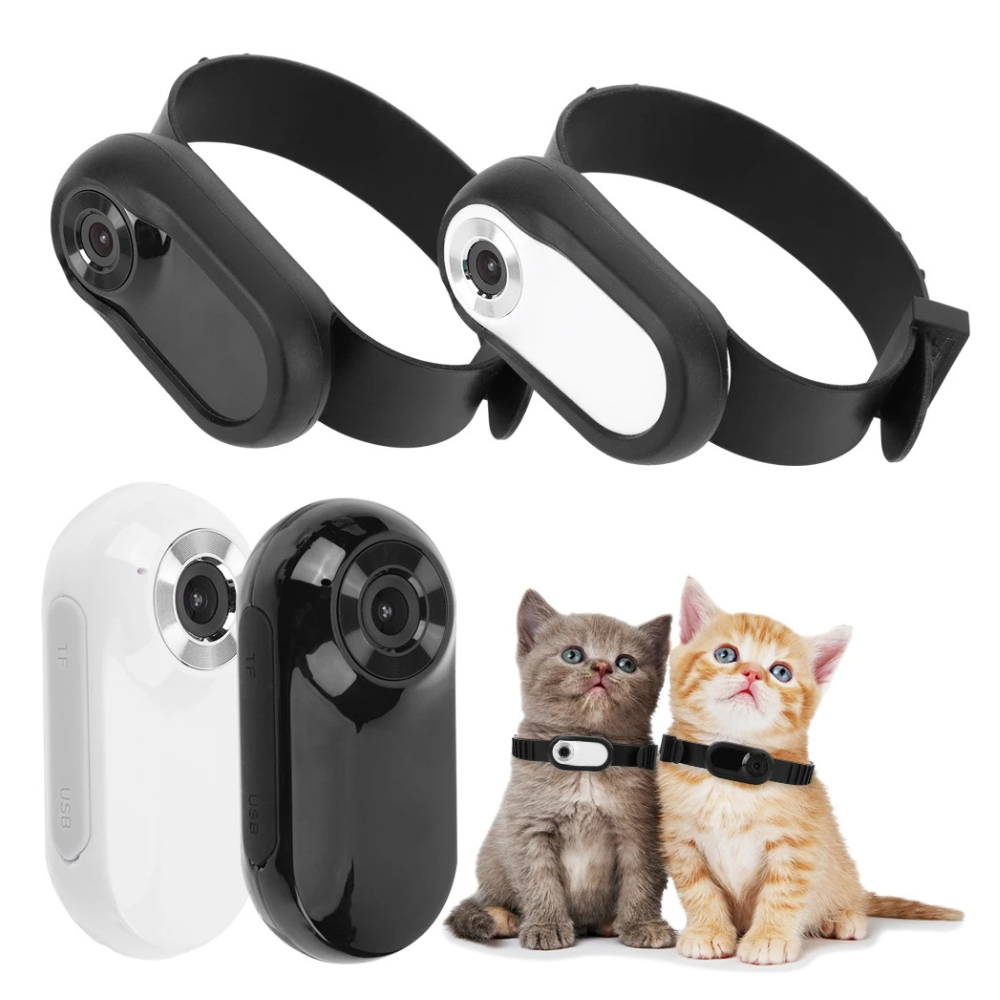 Collar con Cámara para Perros y Gatos – Descubre su Mundo en 1080p - Click&Go Shop by Cris