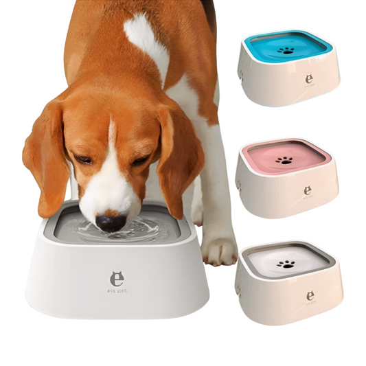 Tazón Antiderrames para Mascotas – Mantén el suelo seco y a tu peludo feliz - Click&Go Shop by Cris