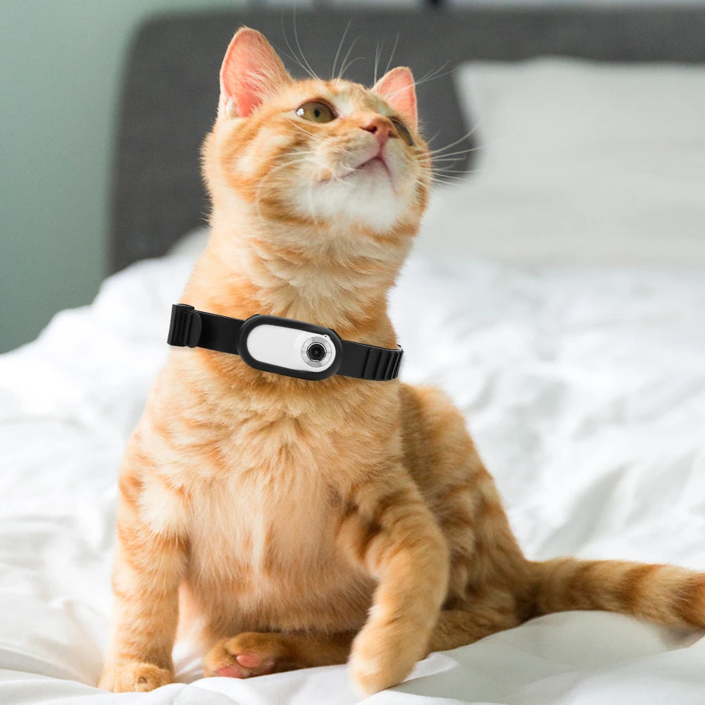 Collar con Cámara para Perros y Gatos – Descubre su Mundo en 1080p - Click&Go Shop by Cris