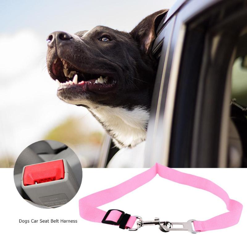Cinturón de Seguridad Ajustable para Perros - Click&Go Shop by Cris