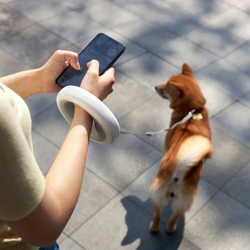Correa Retráctil 360° para Perros | Diseño Ergonómico y Moderno