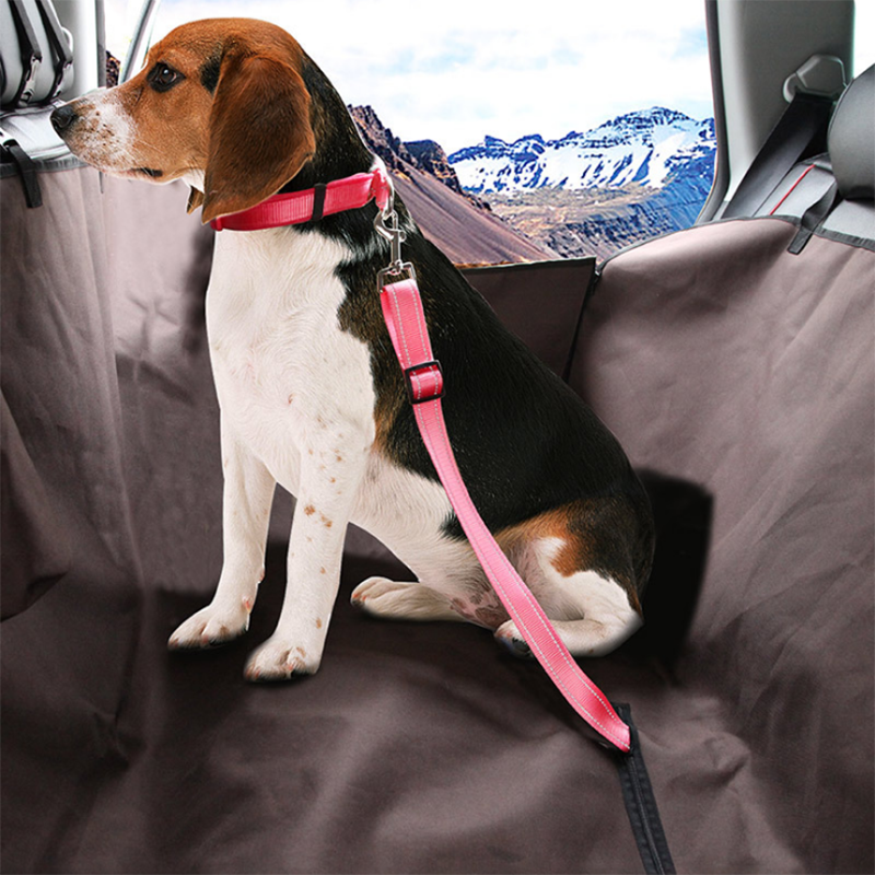 Cinturón de Seguridad Ajustable para Perros - Click&Go Shop by Cris