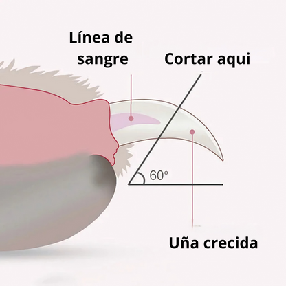 Cortauñas Eléctrico con Luz LED para Mascotas – Corte Seguro y Preciso